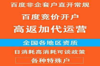 百度竞价开户的五大成功案例：如何进行精准投放？